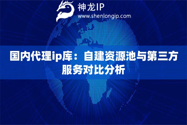 国内代理ip库：自建资源池与第三方服务对比分析