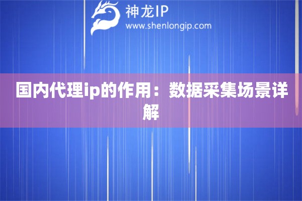 国内代理ip的作用：数据采集场景详解