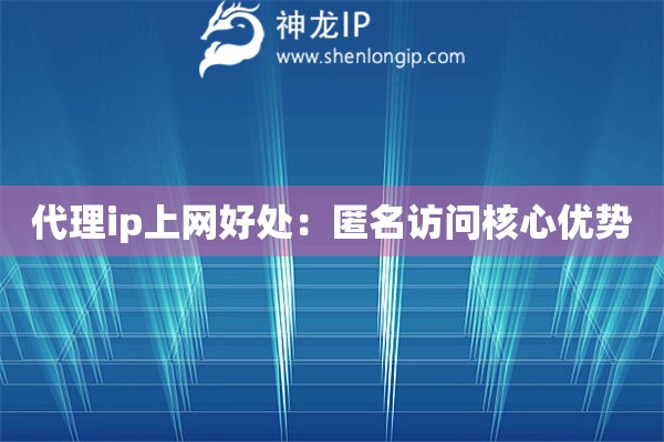 代理ip上网好处：匿名访问核心优势