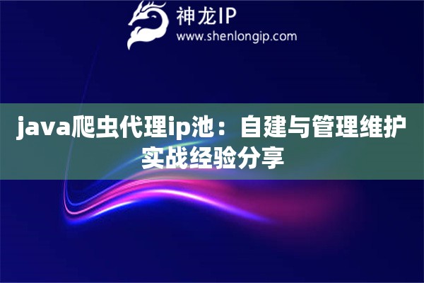 java爬虫代理ip池：自建与管理维护实战经验分享