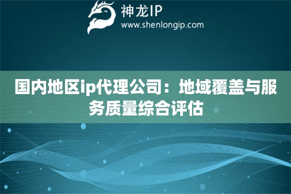 国内地区ip代理公司：地域覆盖与服务质量综合评估