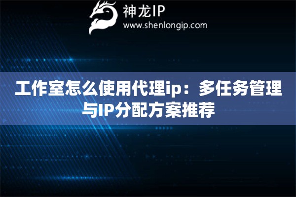 工作室怎么使用代理ip：多任务管理与IP分配方案推荐