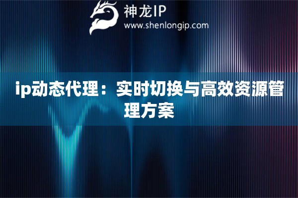 ip动态代理：实时切换与高效资源管理方案