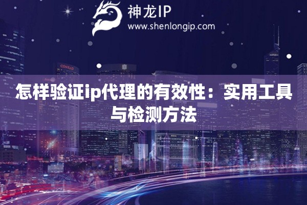 怎样验证ip代理的有效性：实用工具与检测方法