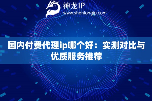 国内付费代理ip哪个好：实测对比与优质服务推荐
