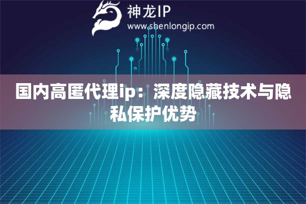 国内高匿代理ip：深度隐藏技术与隐私保护优势