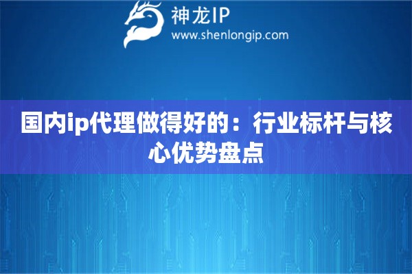 国内ip代理做得好的：行业标杆与核心优势盘点