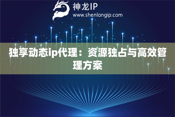 独享动态ip代理：资源独占与高效管理方案