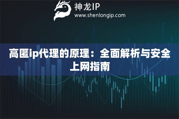 高匿ip代理的原理：全面解析与安全上网指南