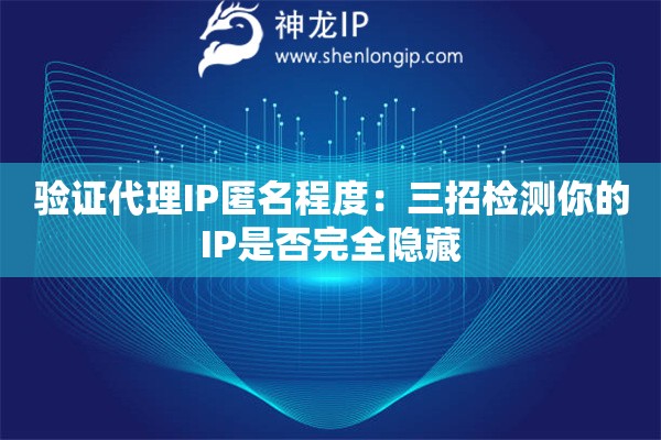 验证代理IP匿名程度：三招检测你的IP是否完全隐藏