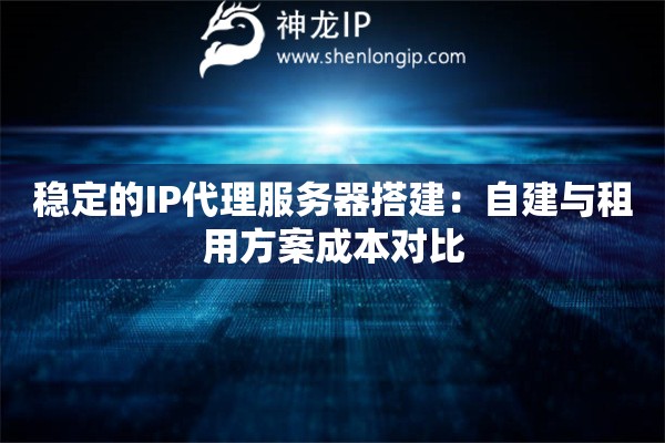 稳定的IP代理服务器搭建：自建与租用方案成本对比