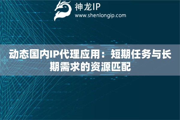 动态国内IP代理应用：短期任务与长期需求的资源匹配