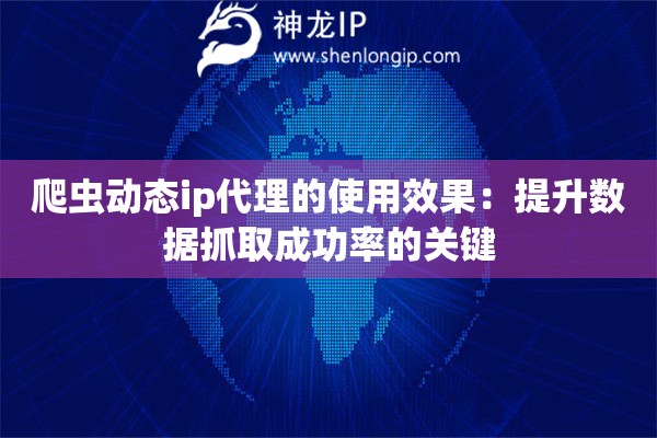 爬虫动态ip代理的使用效果：提升数据抓取成功率的关键