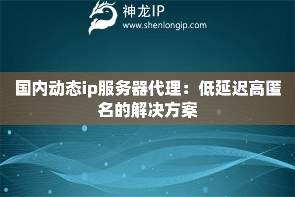 国内动态ip服务器代理：低延迟高匿名的解决方案