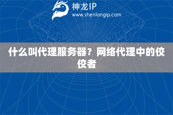 什么叫代理服务器？网络代理中的佼佼者
