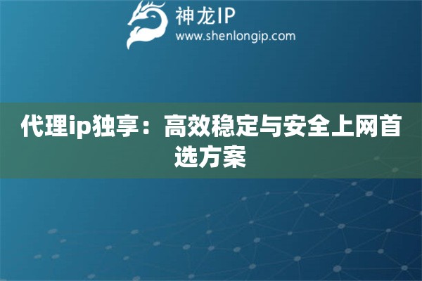 代理ip独享：高效稳定与安全上网首选方案