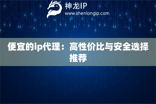 便宜的ip代理：高性价比与安全选择推荐