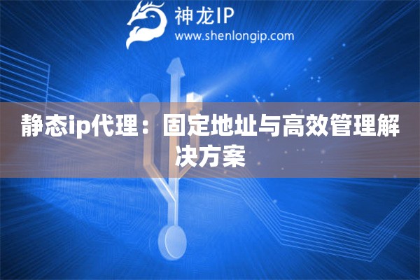 静态ip代理：固定地址与高效管理解决方案