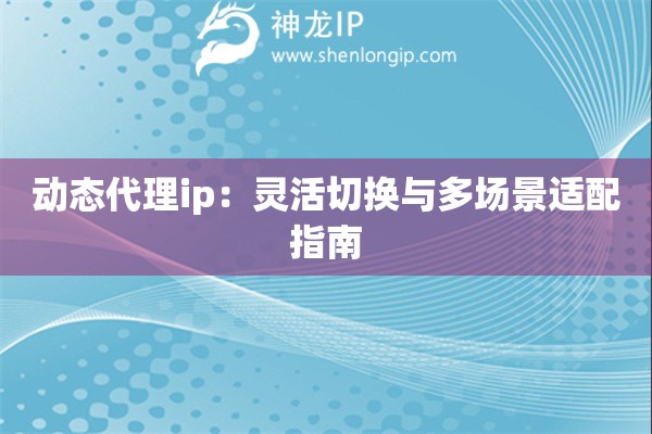动态代理ip：灵活切换与多场景适配指南