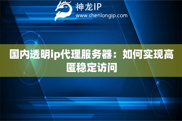 国内透明ip代理服务器：如何实现高匿稳定访问