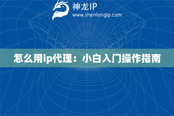 怎么用ip代理：小白入门操作指南