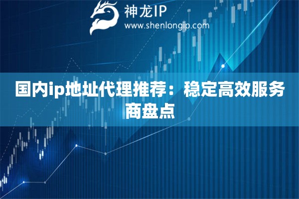 国内ip地址代理推荐：稳定高效服务商盘点