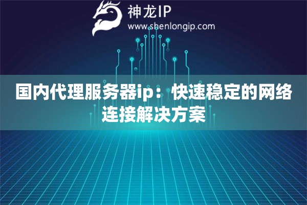 国内代理服务器ip：快速稳定的网络连接解决方案