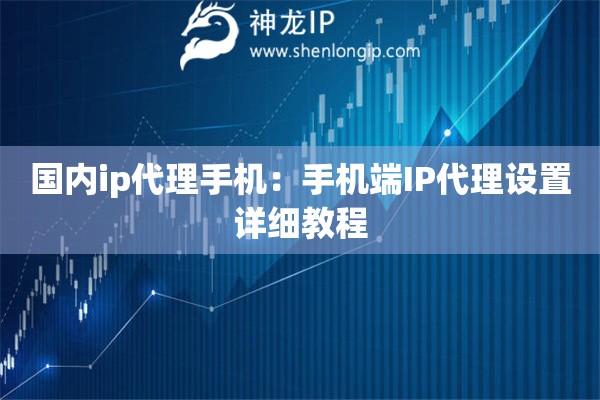 国内ip代理手机：手机端IP代理设置详细教程
