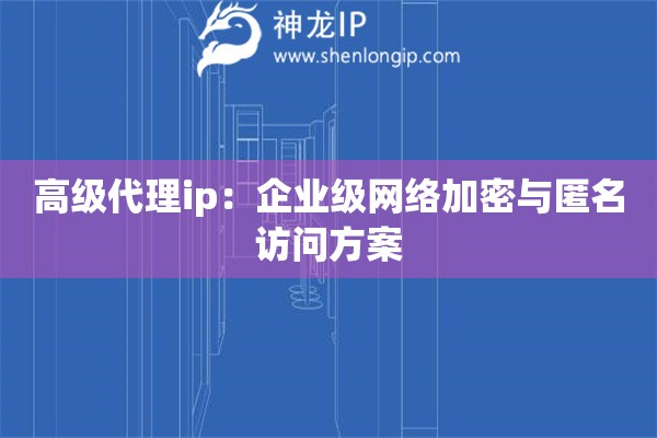 高级代理ip：企业级网络加密与匿名访问方案