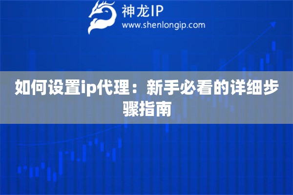 如何设置ip代理：新手必看的详细步骤指南