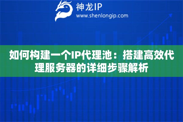 如何构建一个IP代理池：搭建高效代理服务器的详细步骤解析