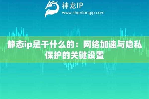 静态ip是干什么的：网络加速与隐私保护的关键设置