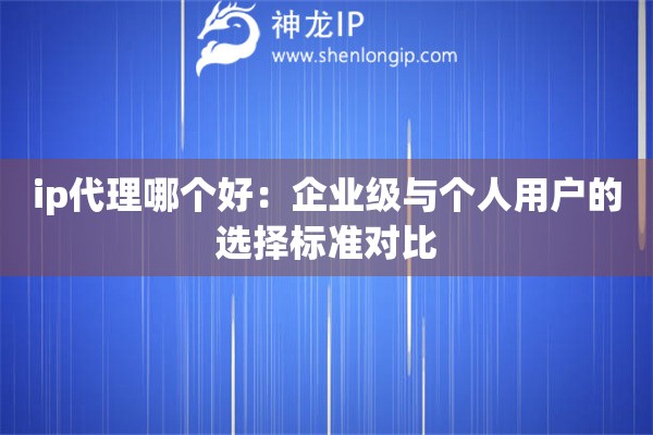 ip代理哪个好：企业级与个人用户的选择标准对比