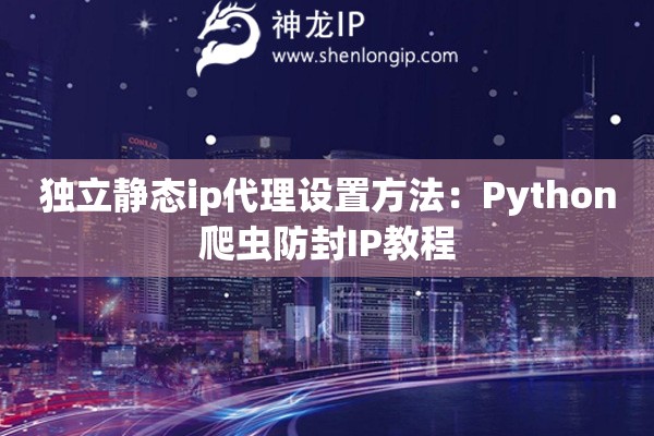 独立静态ip代理设置方法：Python爬虫防封IP教程