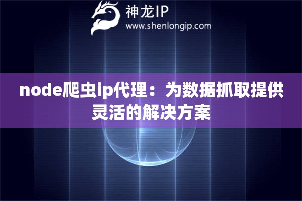 node爬虫ip代理：为数据抓取提供灵活的解决方案
