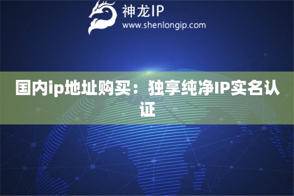 国内ip地址购买：独享纯净IP实名认证