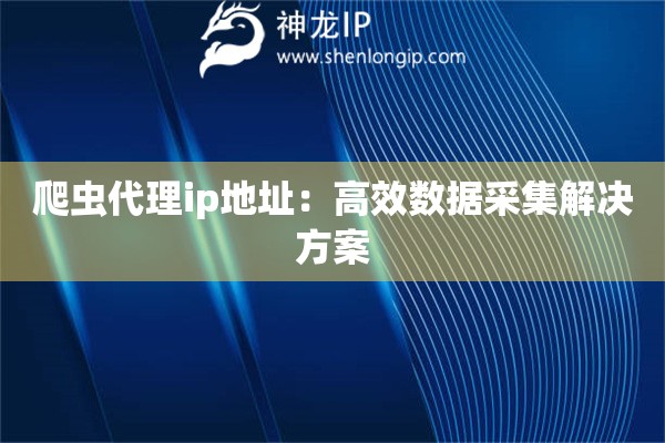 爬虫代理ip地址：高效数据采集解决方案