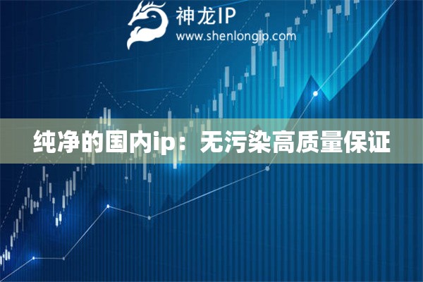 纯净的国内ip：无污染高质量保证