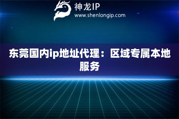 东莞国内ip地址代理：区域专属本地服务