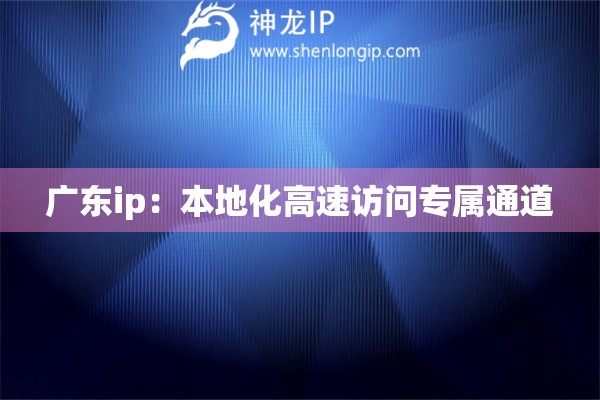 广东ip：本地化高速访问专属通道