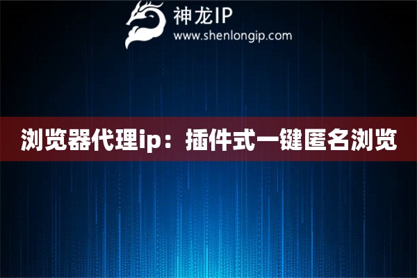 浏览器代理ip：插件式一键匿名浏览