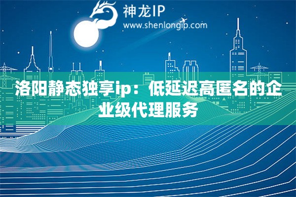 洛阳静态独享ip：低延迟高匿名的企业级代理服务