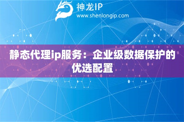 静态代理ip服务：企业级数据保护的优选配置