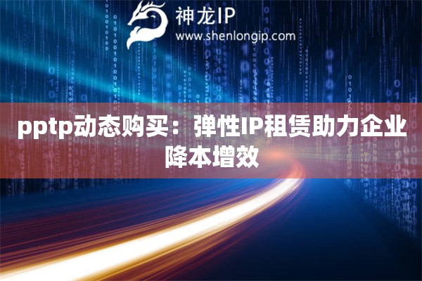 pptp动态购买：弹性IP租赁助力企业降本增效