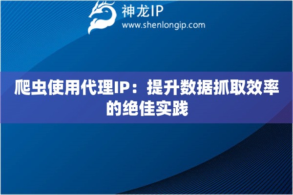 爬虫使用代理IP：提升数据抓取效率的绝佳实践