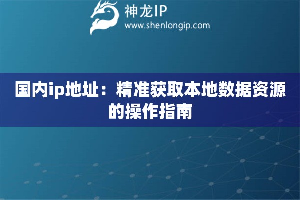 国内ip地址：精准获取本地数据资源的操作指南