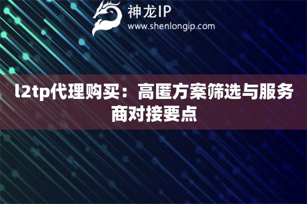 l2tp代理购买：高匿方案筛选与服务商对接要点
