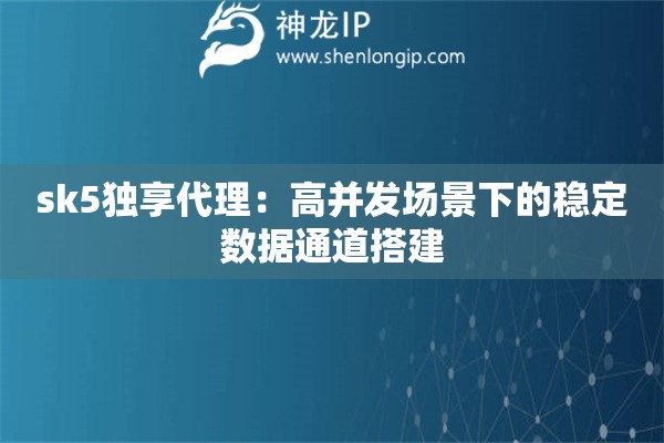 sk5独享代理：高并发场景下的稳定数据通道搭建
