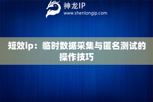 短效ip：临时数据采集与匿名测试的操作技巧