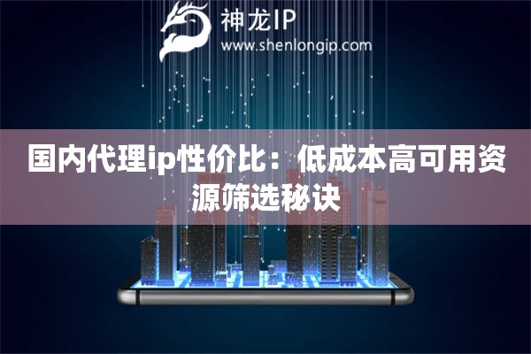 国内代理ip性价比：低成本高可用资源筛选秘诀